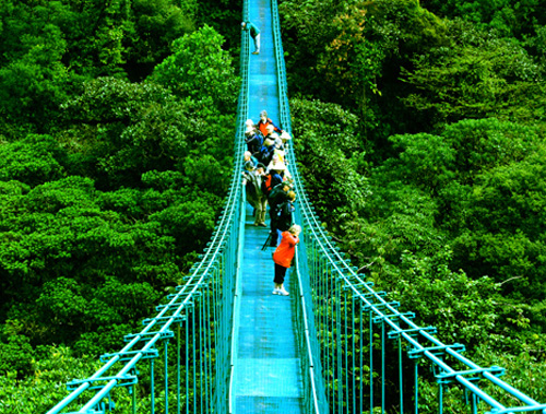 Monteverde Activities